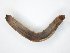  ( - TSZD-JKJ-104500)  @12 [ ] CreativeCommons - Attribution Non-Commercial Share-Alike (2018) Unspecified Tromsø University Museum