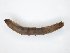  ( - TSZD-JKJ-104501)  @12 [ ] CreativeCommons - Attribution Non-Commercial Share-Alike (2018) Unspecified Tromsø University Museum