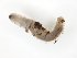  ( - TSZD-JKJ-104511)  @12 [ ] CreativeCommons - Attribution Non-Commercial Share-Alike (2018) Unspecified Tromsø University Museum