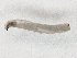  ( - TSZD-JKJ-104520)  @11 [ ] CreativeCommons - Attribution Non-Commercial Share-Alike (2018) Unspecified Tromsø University Museum