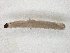  ( - TSZD-JKJ-104525)  @11 [ ] CreativeCommons - Attribution Non-Commercial Share-Alike (2018) Unspecified Tromsø University Museum