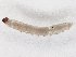  ( - TSZD-JKJ-104531)  @11 [ ] CreativeCommons - Attribution Non-Commercial Share-Alike (2018) Unspecified Tromsø University Museum