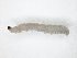  ( - TSZD-JKJ-104534)  @11 [ ] CreativeCommons - Attribution Non-Commercial Share-Alike (2018) Unspecified Tromsø University Museum