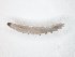  ( - TSZD-JKJ-104547)  @11 [ ] CreativeCommons - Attribution Non-Commercial Share-Alike (2018) Unspecified Tromsø University Museum