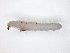  ( - TSZD-JKJ-104552)  @12 [ ] CreativeCommons - Attribution Non-Commercial Share-Alike (2018) Unspecified Tromsø University Museum