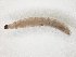  ( - TSZD-JKJ-104567)  @11 [ ] CreativeCommons - Attribution Non-Commercial Share-Alike (2018) Unspecified Tromsø University Museum