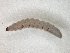  ( - TSZD-JKJ-104581)  @12 [ ] CreativeCommons - Attribution Non-Commercial Share-Alike (2018) Unspecified Tromsø University Museum