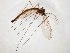  ( - TSZD-JKJ-104702)  @12 [ ] CreativeCommons - Attribution Non-Commercial Share-Alike (2018) Unspecified Tromsø University Museum