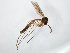  ( - TSZD-JKJ-104705)  @11 [ ] CreativeCommons - Attribution Non-Commercial Share-Alike (2018) Unspecified Tromsø University Museum
