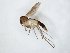  ( - TSZD-JKJ-104721)  @11 [ ] CreativeCommons - Attribution Non-Commercial Share-Alike (2018) Unspecified Tromsø University Museum