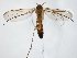  ( - TSZD-JKJ-104741)  @11 [ ] CreativeCommons - Attribution Non-Commercial Share-Alike (2018) Unspecified Tromsø University Museum