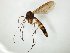  ( - TSZD-JKJ-104764)  @11 [ ] CreativeCommons - Attribution Non-Commercial Share-Alike (2018) Unspecified Tromsø University Museum