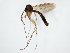  ( - TSZD-JKJ-104765)  @13 [ ] CreativeCommons - Attribution Non-Commercial Share-Alike (2018) Unspecified Tromsø University Museum
