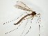  ( - TSZD-JKJ-104768)  @13 [ ] CreativeCommons - Attribution Non-Commercial Share-Alike (2018) Unspecified Tromsø University Museum