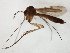  ( - TSZD-JKJ-104795)  @11 [ ] CreativeCommons - Attribution Non-Commercial Share-Alike (2018) Unspecified Tromsø University Museum