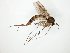  ( - TSZD-JKJ-104798)  @11 [ ] CreativeCommons - Attribution Non-Commercial Share-Alike (2018) Unspecified Tromsø University Museum