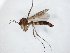  ( - TSZD-JKJ-104800)  @11 [ ] CreativeCommons - Attribution Non-Commercial Share-Alike (2018) Unspecified Tromsø University Museum