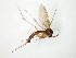  ( - TSZD-JKJ-104834)  @13 [ ] CreativeCommons - Attribution Non-Commercial Share-Alike (2018) Unspecified Tromsø University Museum