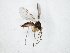  ( - TSZD-JKJ-104838)  @11 [ ] CreativeCommons - Attribution Non-Commercial Share-Alike (2018) Unspecified Tromsø University Museum
