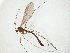  ( - TSZD-JKJ-104845)  @13 [ ] CreativeCommons - Attribution Non-Commercial Share-Alike (2018) Unspecified Tromsø University Museum