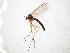  ( - TSZD-JKJ-104864)  @11 [ ] CreativeCommons - Attribution Non-Commercial Share-Alike (2018) Unspecified Tromsø University Museum