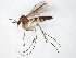  ( - TSZD-JKJ-104869)  @11 [ ] CreativeCommons - Attribution Non-Commercial Share-Alike (2018) Unspecified Tromsø University Museum