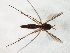  ( - TSZD-JKJ-104870)  @11 [ ] CreativeCommons - Attribution Non-Commercial Share-Alike (2018) Unspecified Tromsø University Museum