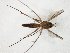  ( - TSZD-JKJ-104870)  @11 [ ] CreativeCommons - Attribution Non-Commercial Share-Alike (2018) Unspecified Tromsø University Museum