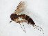  ( - TSZD-JKJ-104874)  @13 [ ] CreativeCommons - Attribution Non-Commercial Share-Alike (2018) Unspecified Tromsø University Museum