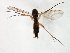  ( - TSZD-JKJ-104889)  @12 [ ] CreativeCommons - Attribution Non-Commercial Share-Alike (2018) Unspecified Tromsø University Museum