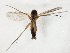  ( - TSZD-JKJ-104889)  @13 [ ] CreativeCommons - Attribution Non-Commercial Share-Alike (2018) Unspecified Tromsø University Museum