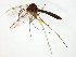  ( - TSZD-JKJ-104890)  @11 [ ] CreativeCommons - Attribution Non-Commercial Share-Alike (2018) Unspecified Tromsø University Museum