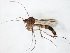  ( - TSZD-JKJ-104969)  @11 [ ] CreativeCommons - Attribution Non-Commercial Share-Alike (2018) Unspecified Tromsø University Museum
