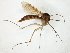 ( - TSZD-JKJ-104974)  @11 [ ] CreativeCommons - Attribution Non-Commercial Share-Alike (2018) Unspecified Tromsø University Museum