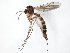  ( - TSZD-JKJ-104977)  @11 [ ] CreativeCommons - Attribution Non-Commercial Share-Alike (2018) Unspecified Tromsø University Museum