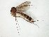  ( - TSZD-JKJ-104980)  @13 [ ] CreativeCommons - Attribution Non-Commercial Share-Alike (2018) Unspecified Tromsø University Museum