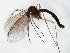  ( - TSZD-JKJ-104982)  @11 [ ] CreativeCommons - Attribution Non-Commercial Share-Alike (2018) Unspecified Tromsø University Museum