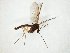  ( - TSZD-JKJ-104993)  @11 [ ] CreativeCommons - Attribution Non-Commercial Share-Alike (2018) Unspecified Tromsø University Museum