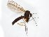  ( - TSZD-JKJ-104994)  @11 [ ] CreativeCommons - Attribution Non-Commercial Share-Alike (2018) Unspecified Tromsø University Museum