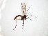  ( - TSZD-JKJ-104995)  @11 [ ] CreativeCommons - Attribution Non-Commercial Share-Alike (2018) Unspecified Tromsø University Museum