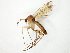  ( - TSZD-JKJ-105001)  @11 [ ] CreativeCommons - Attribution Non-Commercial Share-Alike (2018) Unspecified Tromsø University Museum