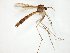  ( - TSZD-JKJ-105008)  @11 [ ] CreativeCommons - Attribution Non-Commercial Share-Alike (2018) Unspecified Tromsø University Museum