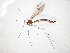  ( - TSZD-JKJ-105017)  @11 [ ] CreativeCommons - Attribution Non-Commercial Share-Alike (2018) Unspecified Tromsø University Museum
