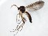  ( - TSZD-JKJ-105019)  @11 [ ] CreativeCommons - Attribution Non-Commercial Share-Alike (2018) Unspecified Tromsø University Museum