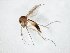  ( - TSZD-JKJ-105030)  @11 [ ] CreativeCommons - Attribution Non-Commercial Share-Alike (2018) Unspecified Tromsø University Museum