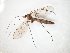  ( - TSZD-JKJ-105032)  @11 [ ] CreativeCommons - Attribution Non-Commercial Share-Alike (2018) Unspecified Tromsø University Museum