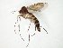  ( - TSZD-JKJ-105033)  @11 [ ] CreativeCommons - Attribution Non-Commercial Share-Alike (2018) Unspecified Tromsø University Museum