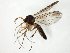  ( - TSZD-JKJ-105036)  @11 [ ] CreativeCommons - Attribution Non-Commercial Share-Alike (2018) Unspecified Tromsø University Museum