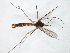  ( - TSZD-JKJ-105047)  @11 [ ] CreativeCommons - Attribution Non-Commercial Share-Alike (2018) Unspecified Tromsø University Museum
