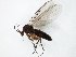  ( - TSZD-JKJ-105070)  @11 [ ] CreativeCommons - Attribution Non-Commercial Share-Alike (2019) Unspecified Tromsø University Museum